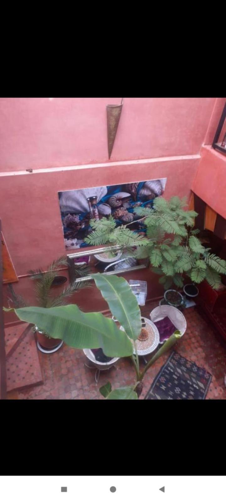 مراكش Riad Hanafi المظهر الخارجي الصورة